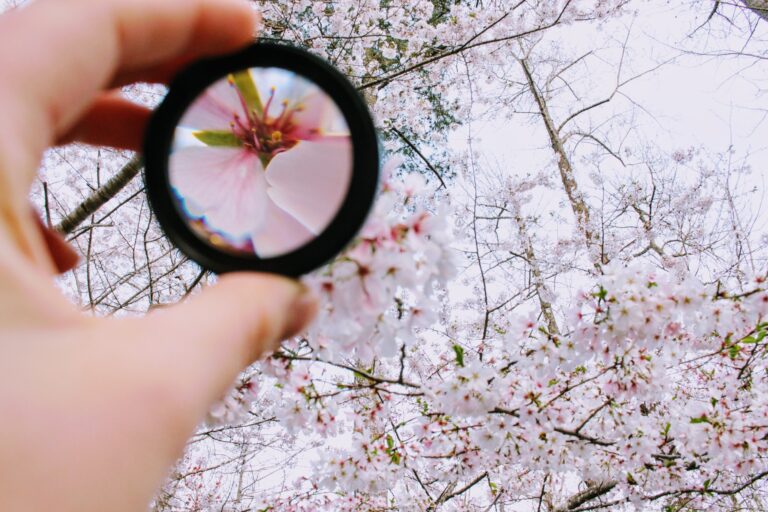 Mindfulness 101: Everything you need to know about mindfulness