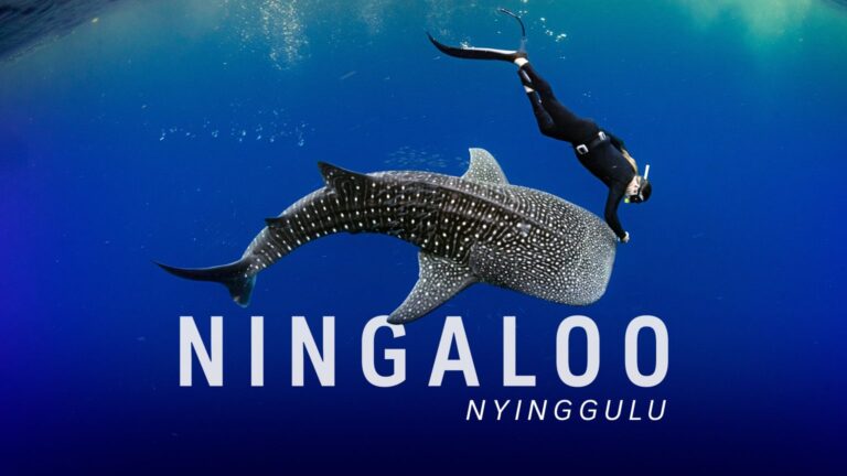 Journey alongside Tim Winton in Ningaloo Nyinggulu, launching tonight on ABC